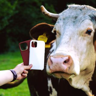 🐮 Hnědá nebo bílá? Ať už preferujete přírodní tóny nebo čistou eleganci, naše kryty na iPhone vás nezklamou. Vyzkoušejte...